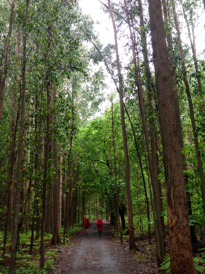 1000159_10152984813680122_395286715_n