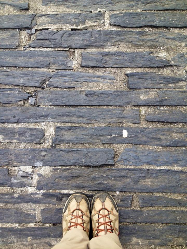 1005690_10152989281805122_556617861_n