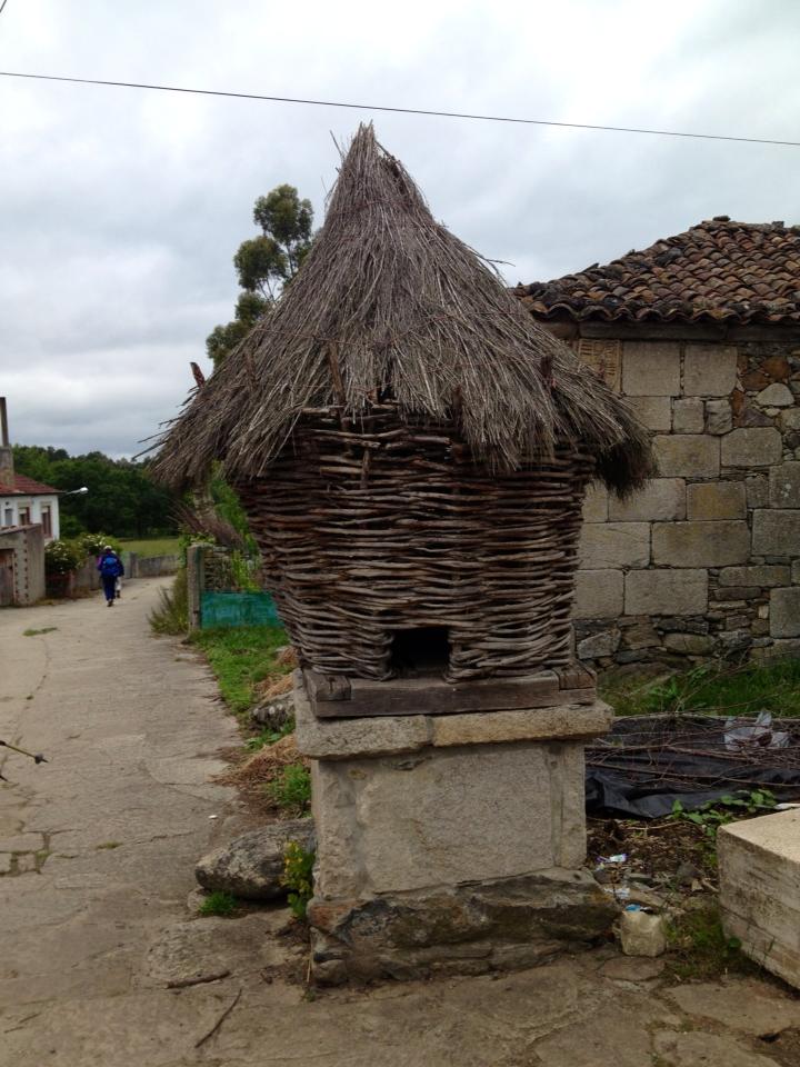 10542_10152981885410122_562565613_n