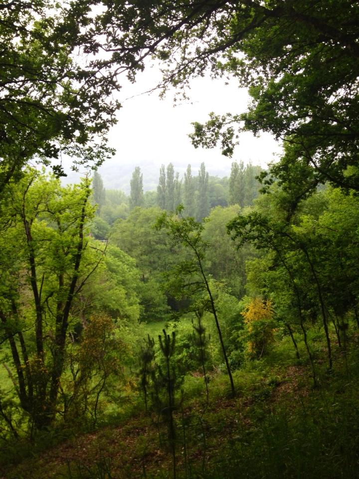 1270_10152971527025122_1755347319_n