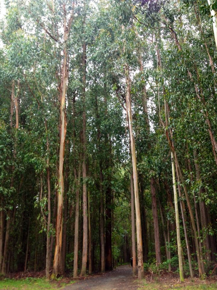 179761_10152984815950122_189236456_n