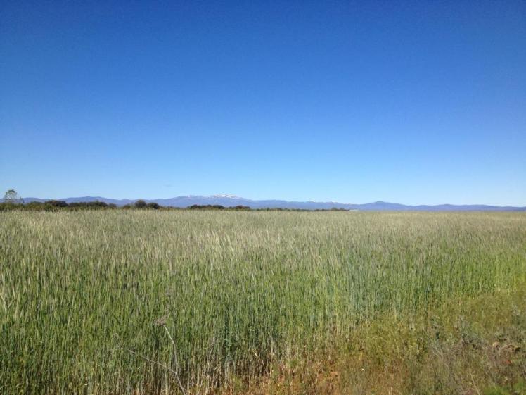 179789_10152952410680122_1507098693_n