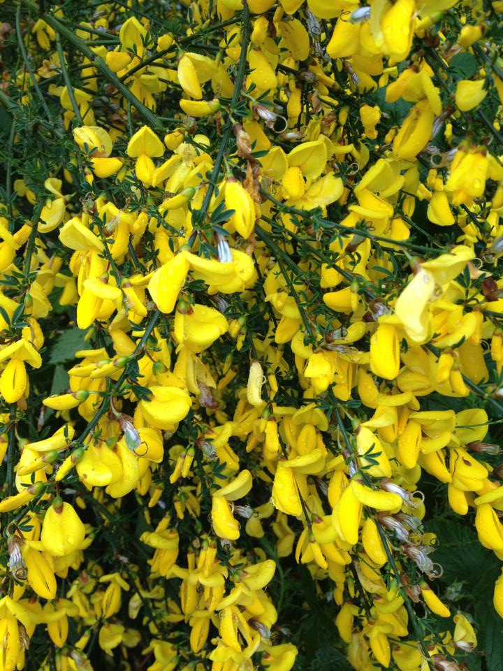 181262_10152974329420122_119818526_n