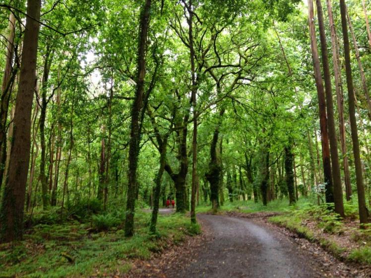 181274_10152984812925122_1071716343_n