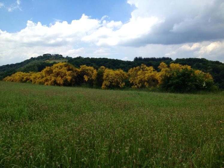 184427_10152971516750122_1421720631_n