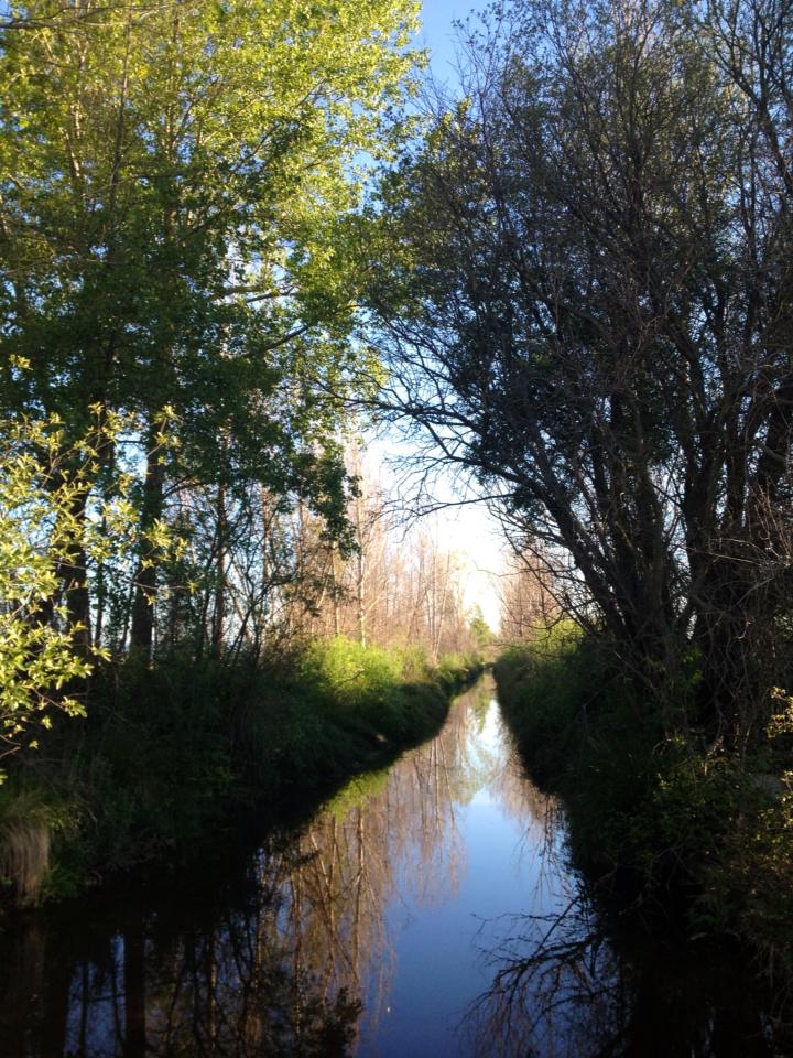 249038_10152952413715122_1121787326_n