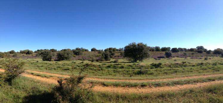 286530_10152955868385122_1442118892_o