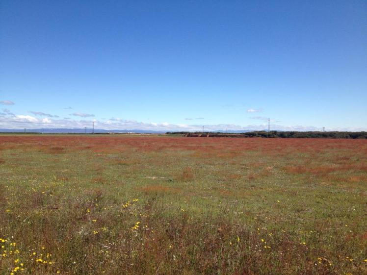 295530_10152952410530122_1131692848_n