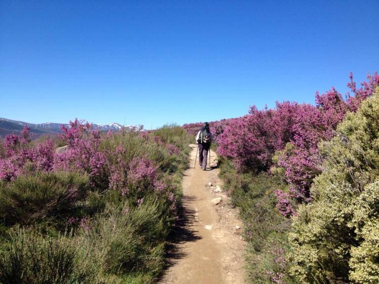 295571_10152959379955122_1504390006_n