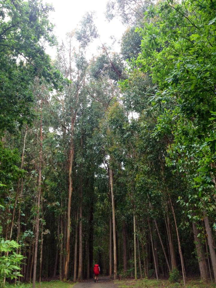 296118_10152984814925122_1672543233_n