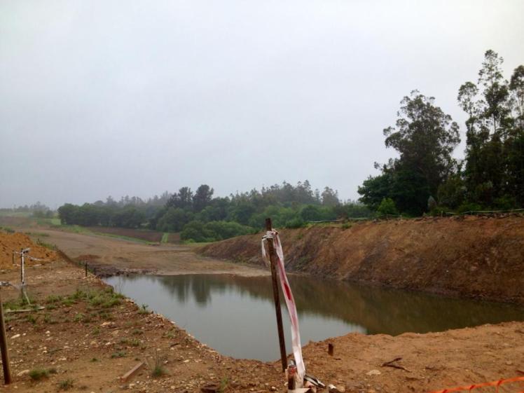 375578_10152984817085122_1028113370_n