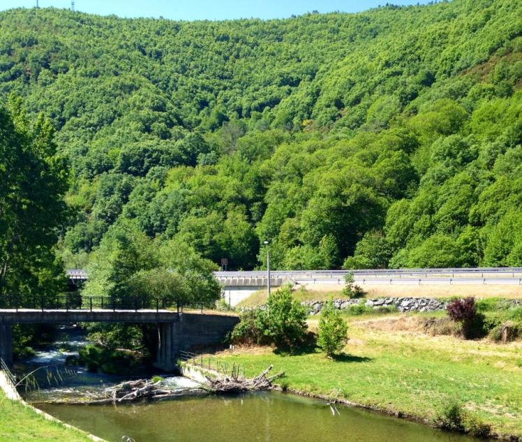 419105_10152965055060122_506145549_n