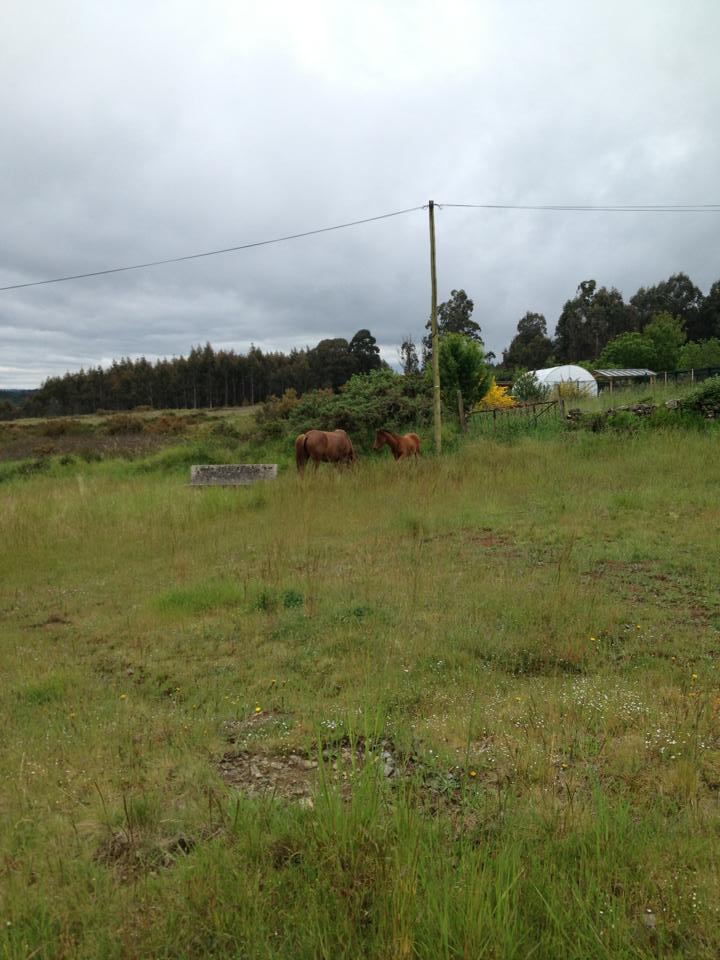 421615_10152981882865122_389912047_n