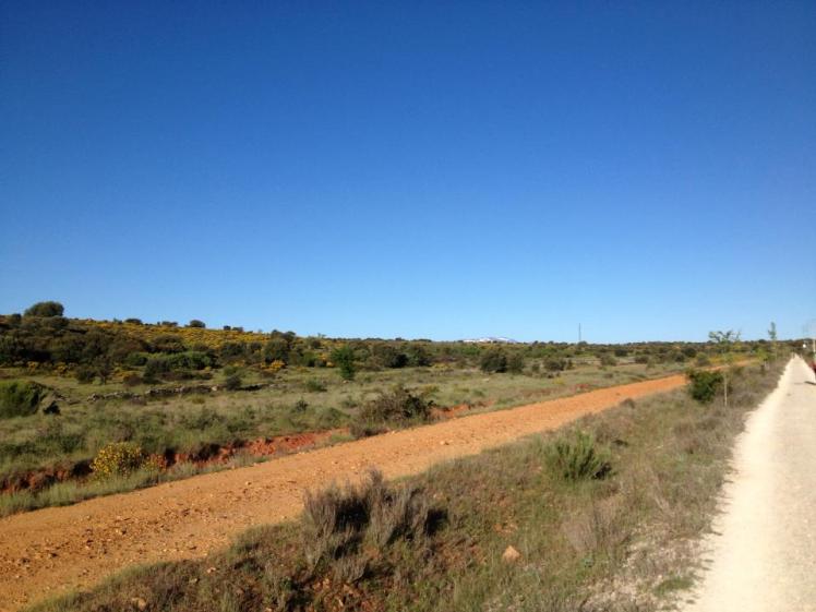 424584_10152955869690122_2103320368_n