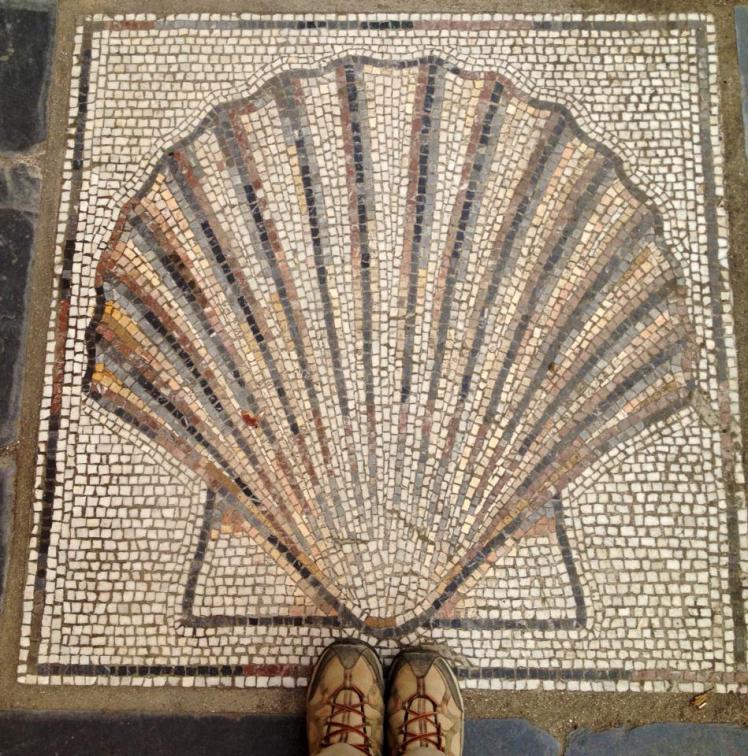 431834_10152971514060122_131761350_n