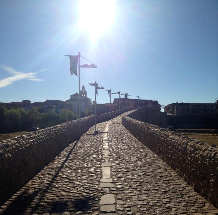 485573_10152952411875122_183507529_n