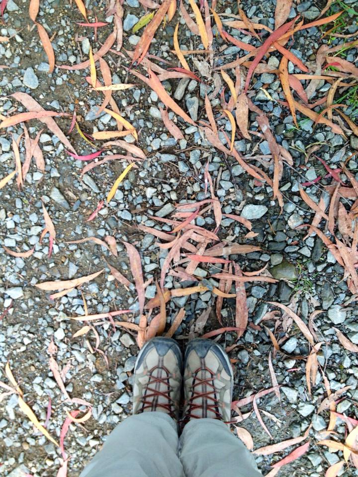 485614_10152981881645122_936684458_n