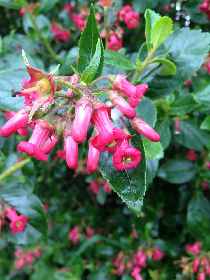 580444_10152981882515122_675422215_n