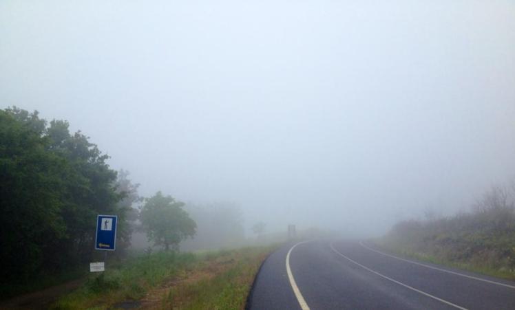 600405_10152978180615122_582094175_n