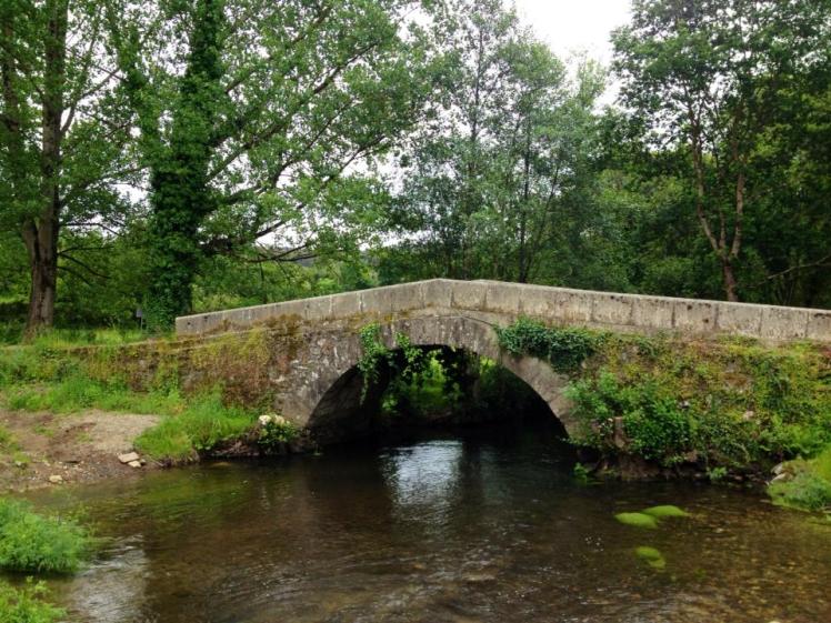 601015_10152981881440122_1852940374_n