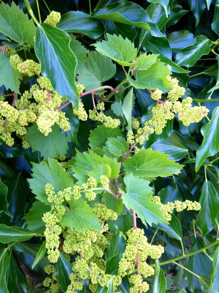 7752_10152965074760122_1864835221_n