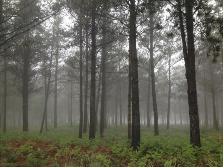 922694_10152978179385122_1025024270_n