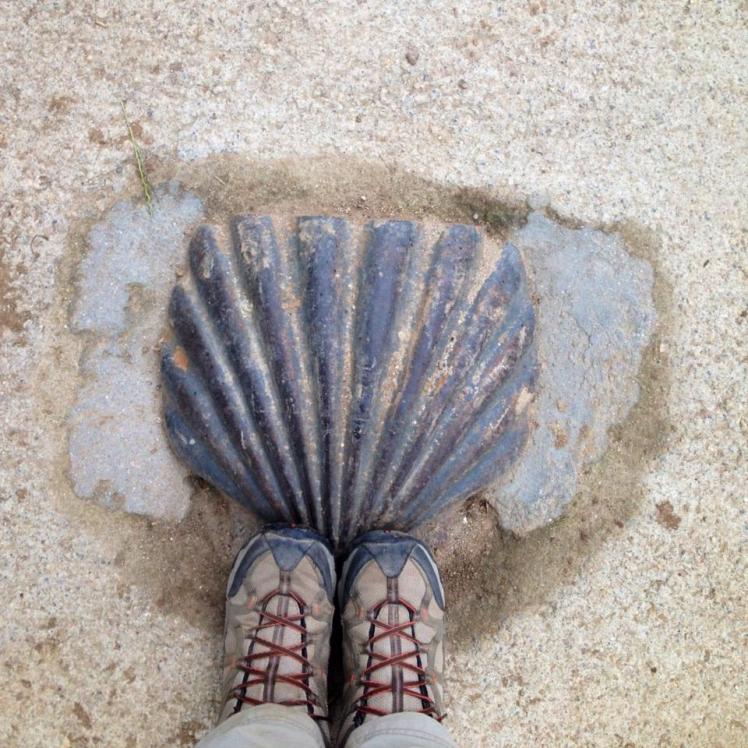 931417_10152974329915122_1901377066_n