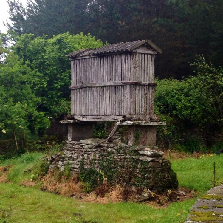 935780_10152974328555122_260245120_n