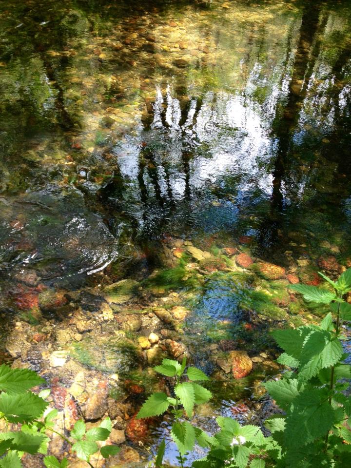 936200_10152971517680122_1082930377_n