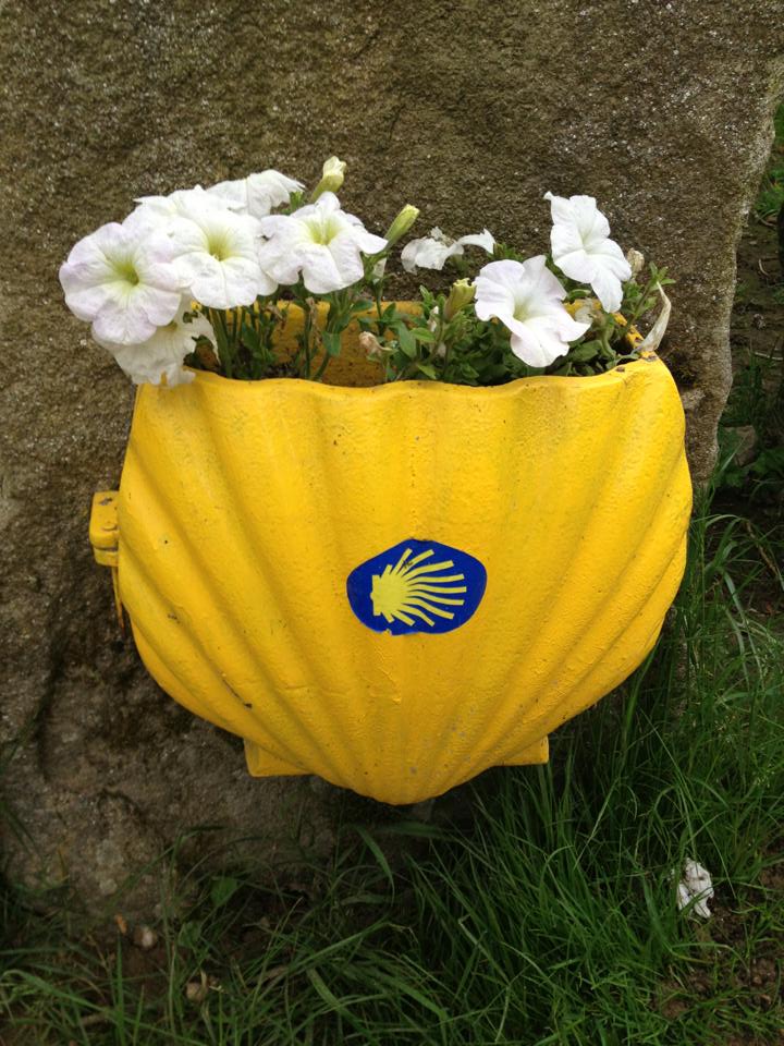 941698_10152974330585122_778740312_n