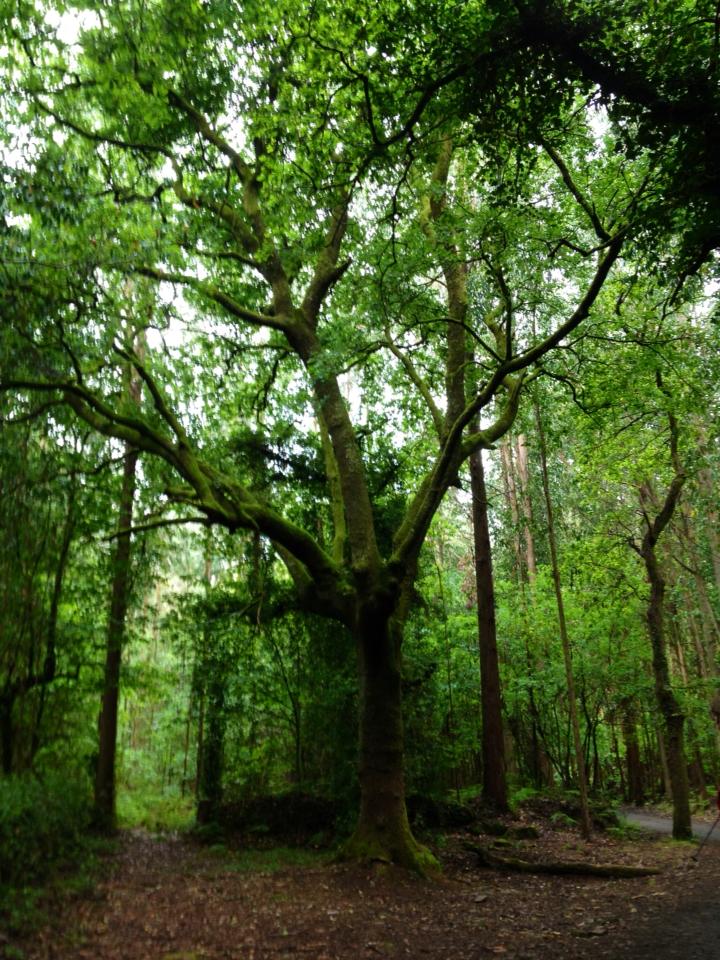 941944_10152984814510122_1070064944_n