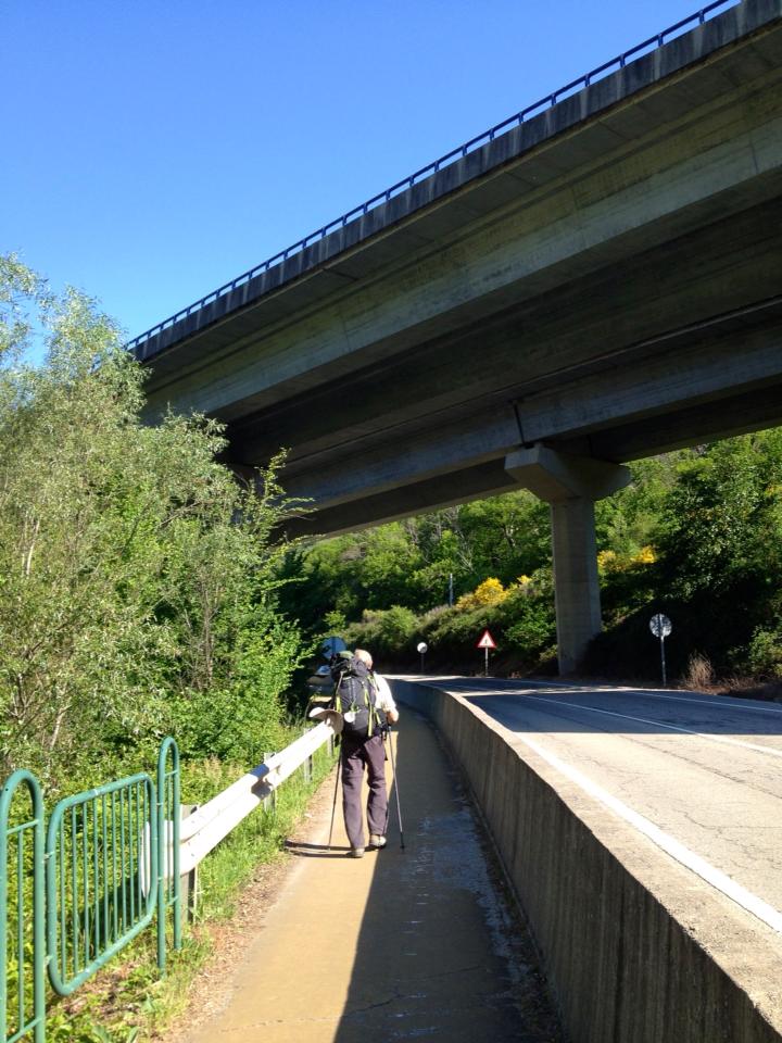 943571_10152965056220122_379173489_n