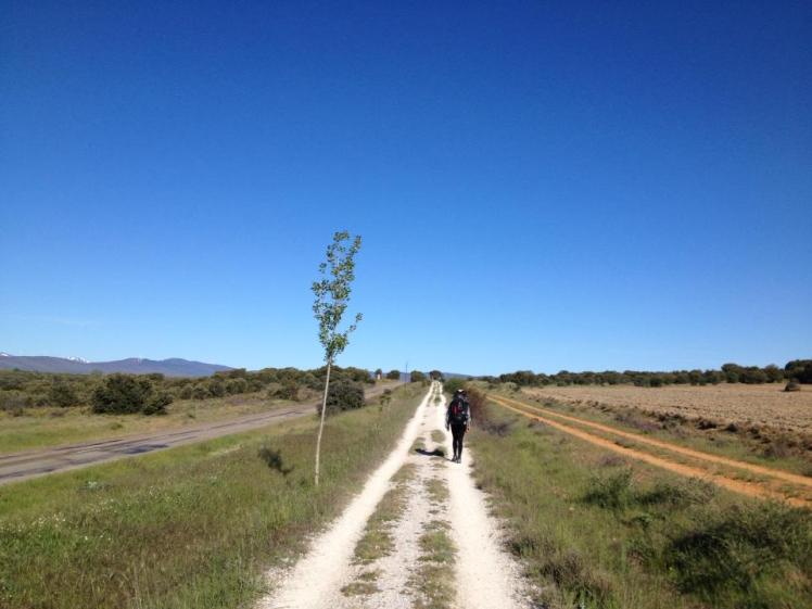 944510_10152955868540122_2112004045_n