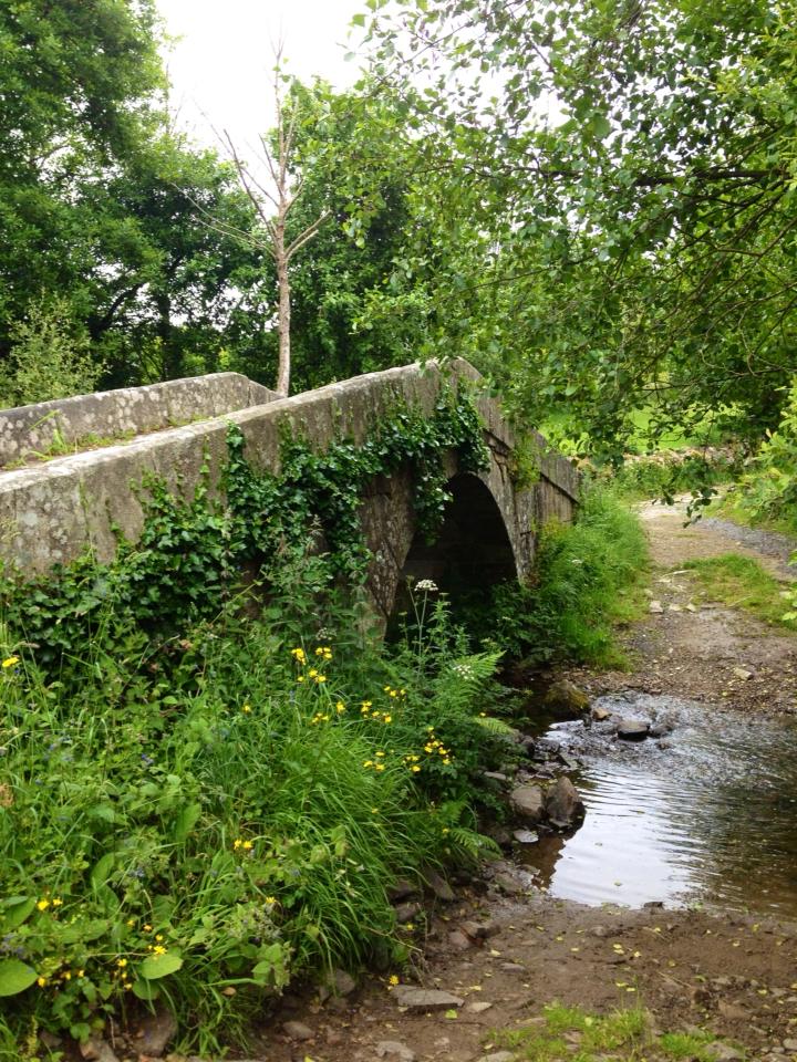 945930_10152981884845122_717838872_n