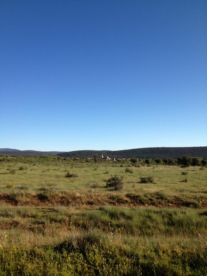 946583_10152955869915122_1996145718_n