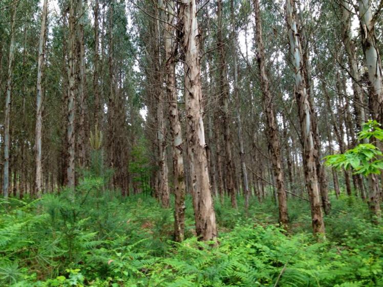 947065_10152981881950122_223947787_n