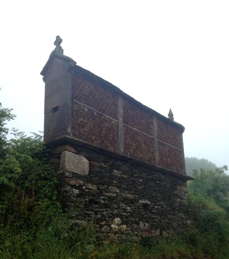 954871_10152978180490122_1306162867_n