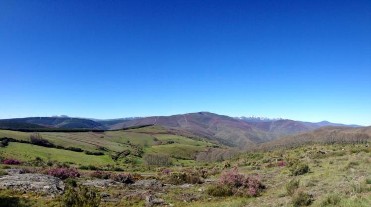 960227_10152959389060122_2009005678_n