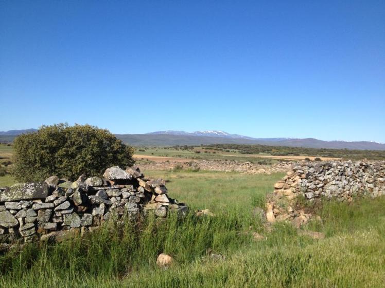 969307_10152955868715122_1547810462_n