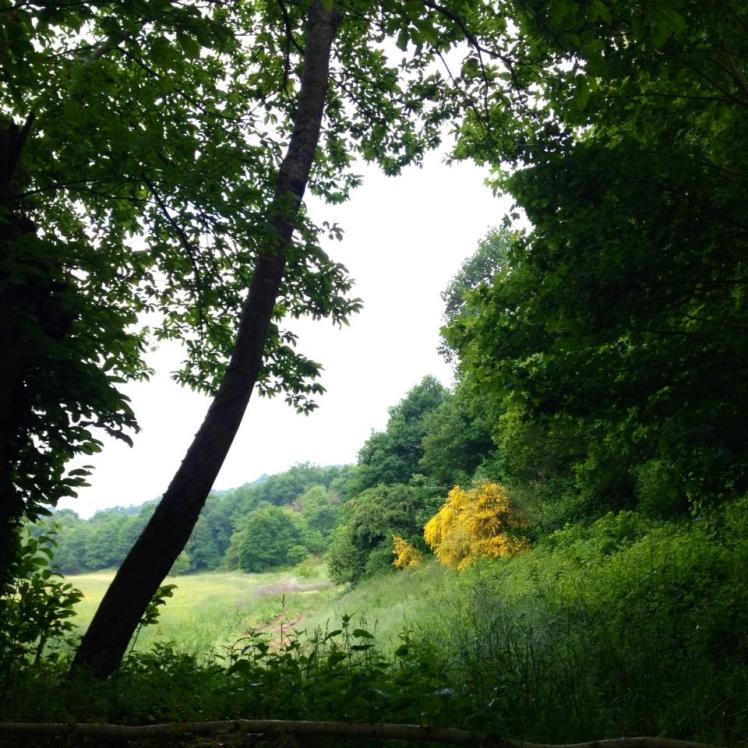 969455_10152971526745122_1914654283_n