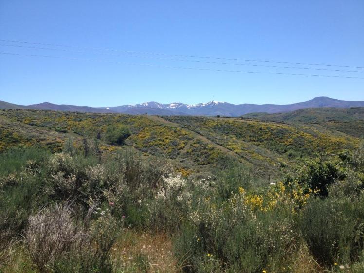 969689_10152959376425122_2023756598_n