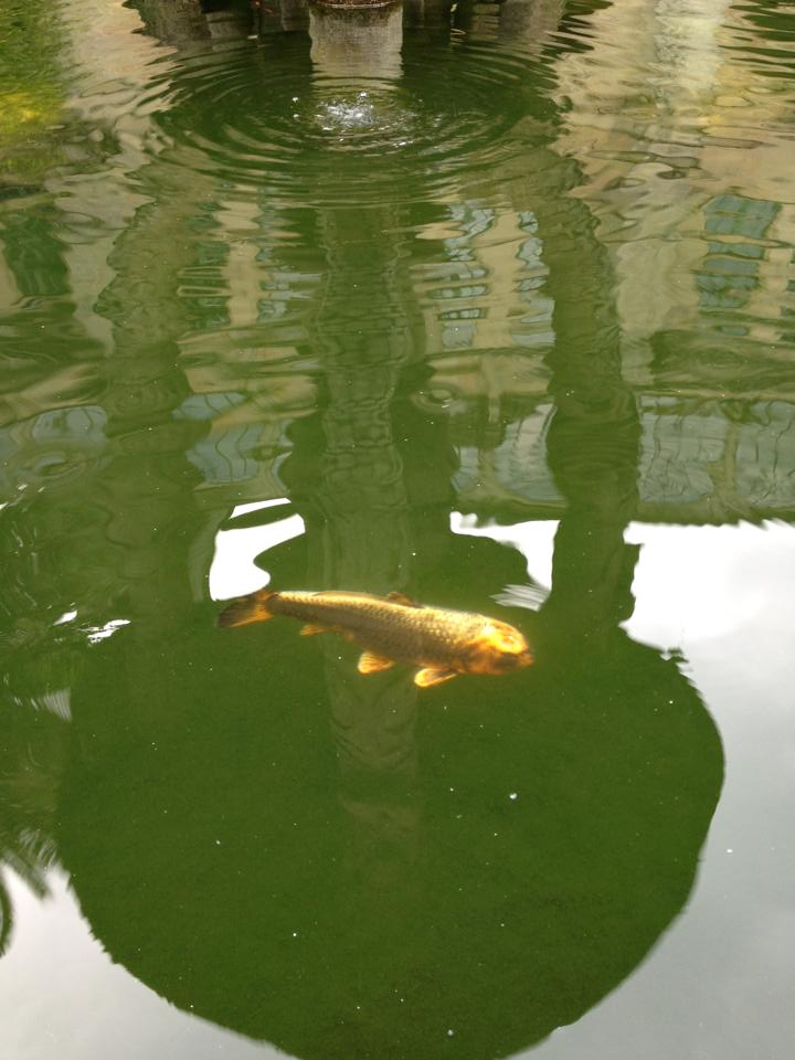 970409_10152971525220122_398468004_n