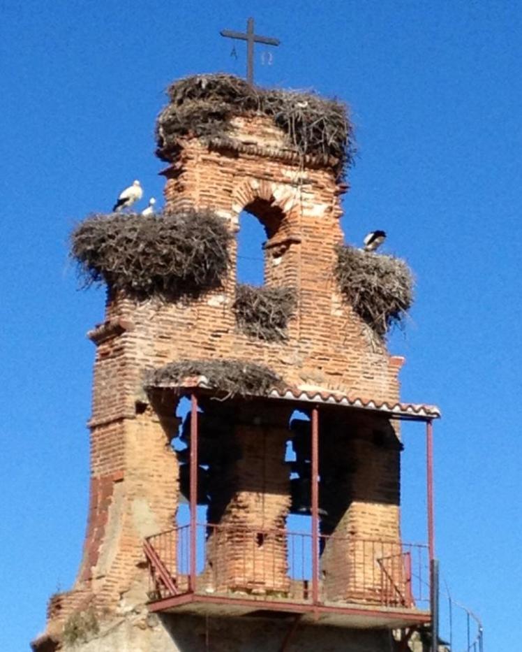 970559_10152948977600122_176593820_n