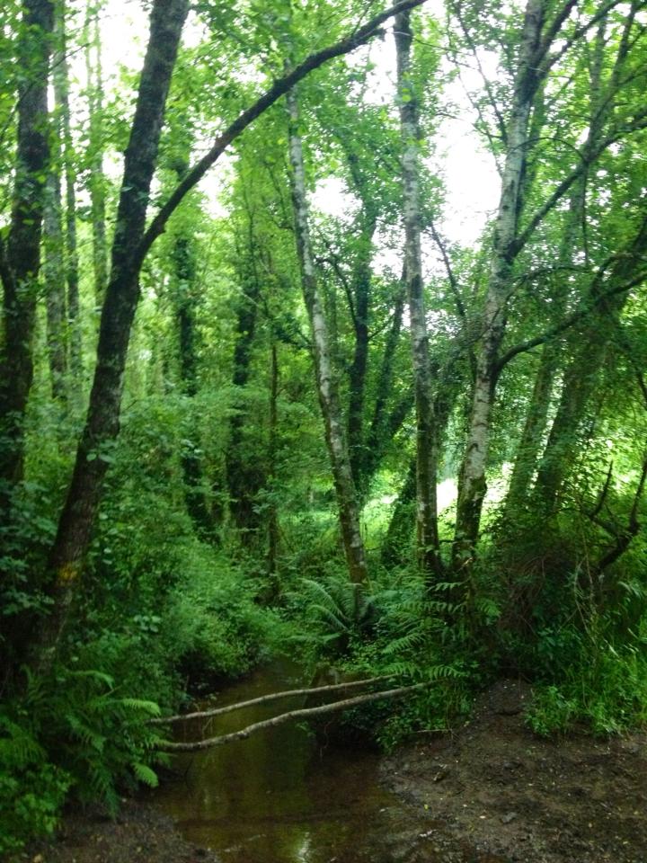 970877_10152984817350122_2145970508_n