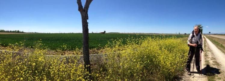 971220_10152948978235122_1238000994_n