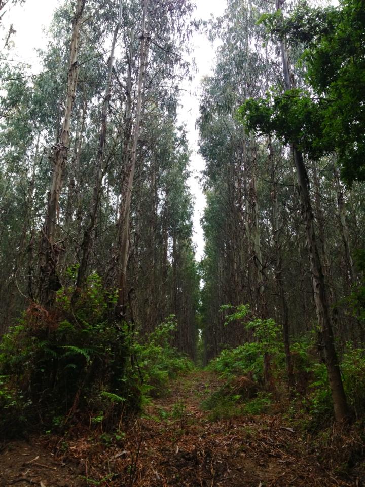 971618_10152984816270122_682277057_n