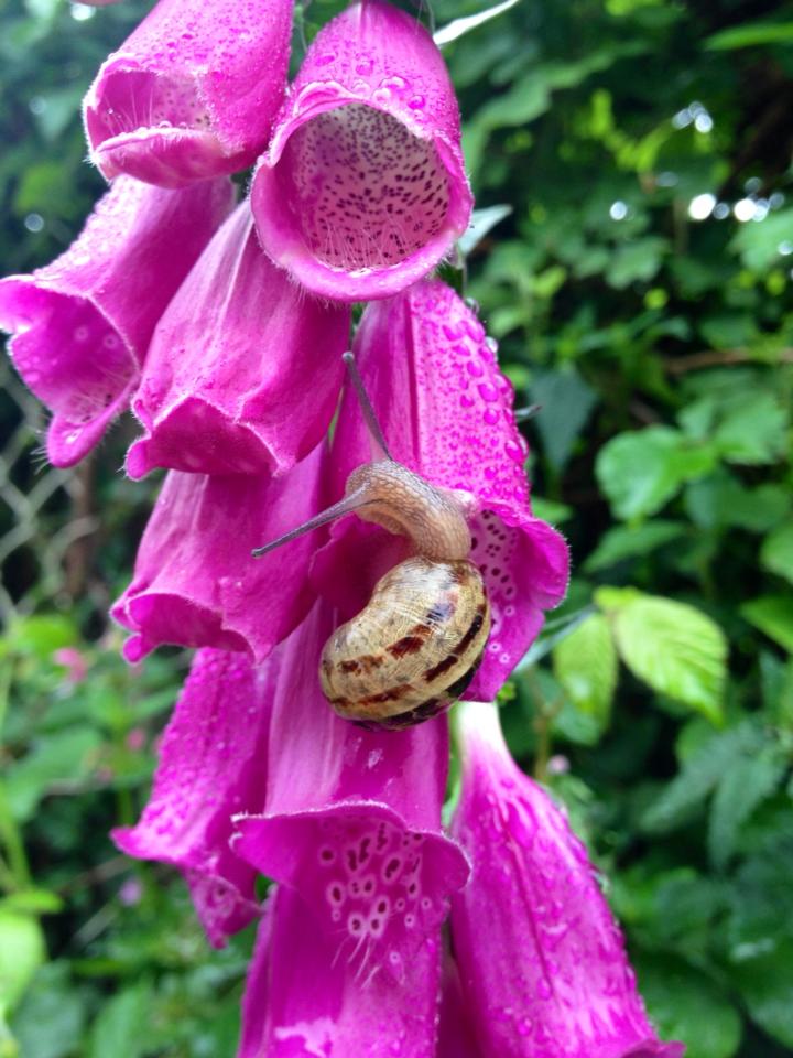 971762_10152984816880122_1128938520_n