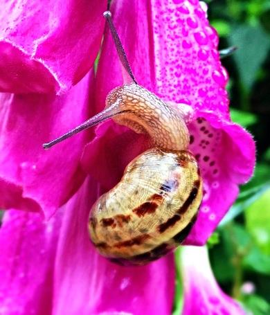 971998_10152984811505122_1636966619_n