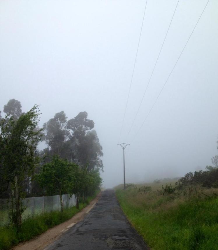 972263_10152989349515122_534361267_n