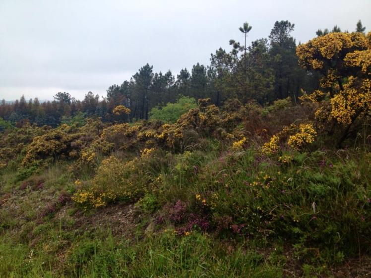 972271_10152978179025122_772651885_n